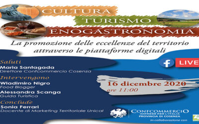 Cultura, Turismo ed Enogastronomia Online. Webinar il prossimo 16 dicembre