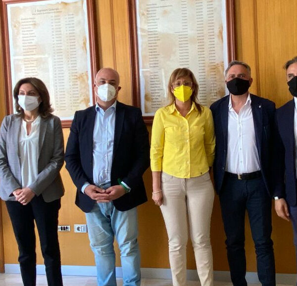 Protocollo Camera di Commercio Cosenza e Fimaa