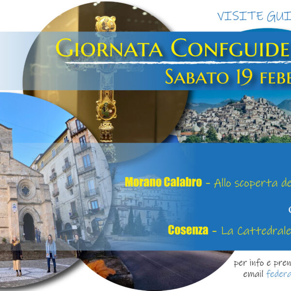 Giornata Confguide