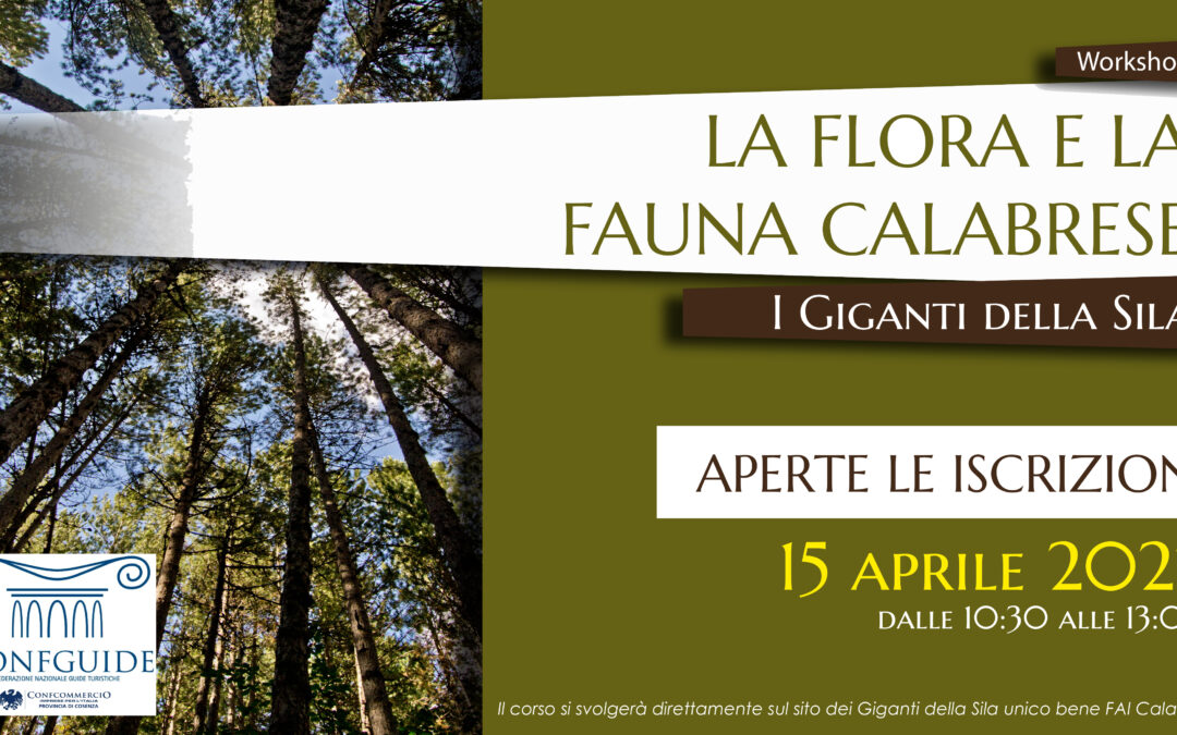 Confguide Cosenza. Workshop “La flora e la fauna calabrese – I giganti della Sila”