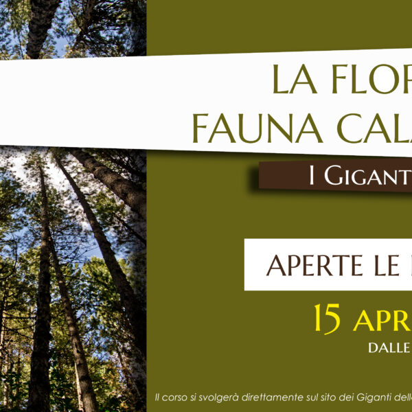 Workshop la flora e la fauna calabrese