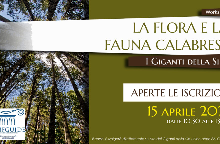 Confguide Cosenza. Workshop “La flora e la fauna calabrese – I giganti della Sila”