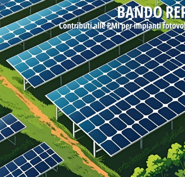Pannelli fotovoltaici installati in campo verde per la produzione di energia rinnovabile