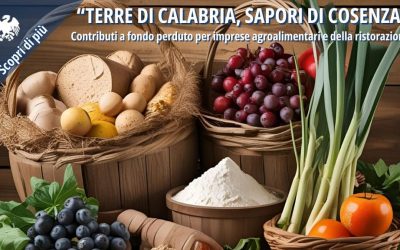 Bando filiera agroalimentare “Terre di Calabria, Sapori di Cosenza”