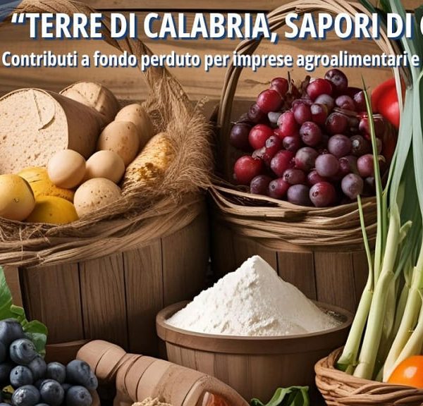 Prodotti agroalimentari tipici della provincia di Cosenza, disposti in cesti rustici.
