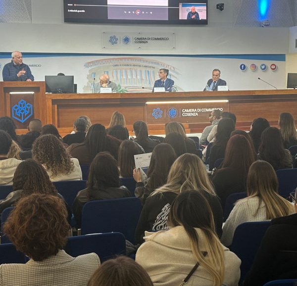 ITS Tirreno Academy: formazione e lavoro si incontrano alla Camera di Commercio di Cosenza