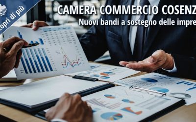 Bandi Camera di Commercio Cosenza 2026: nuove opportunità a sostegno delle imprese
