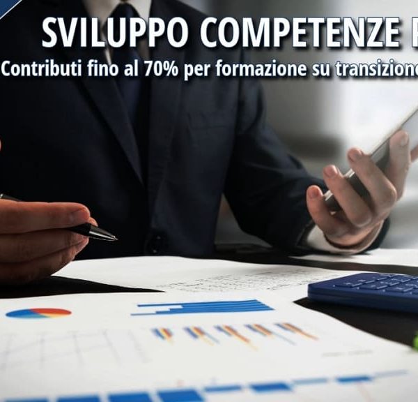 Professionista al lavoro con grafici e calcolatrice – misura Sviluppo Competenze PMI 2026 per la formazione su transizione digitale e green.