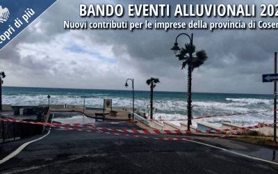 Bando contributi eventi alluvionali 2026: nuovi incentivi per le imprese della provincia di Cosenza