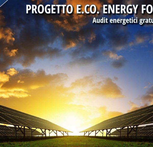 Impianto fotovoltaico con file di pannelli solari al tramonto, immagine utilizzata per illustrare il Progetto E.Co. Energy for Cosenza dedicato agli audit energetici gratuiti e all'efficienza energetica delle imprese.