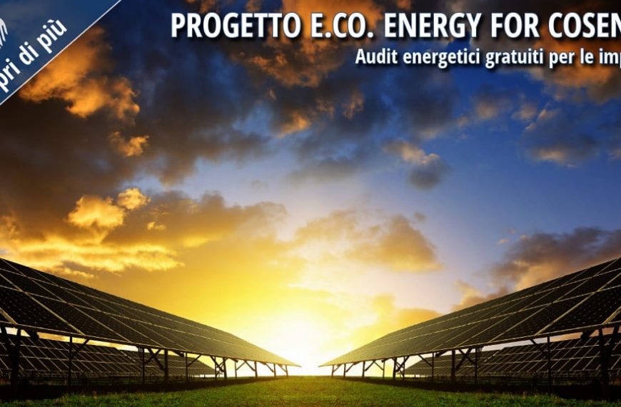 Impianto fotovoltaico con file di pannelli solari al tramonto, immagine utilizzata per illustrare il Progetto E.Co. Energy for Cosenza dedicato agli audit energetici gratuiti e all'efficienza energetica delle imprese.