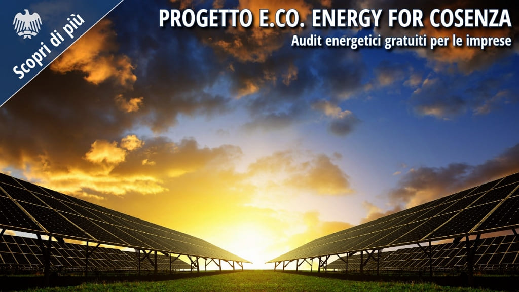 Impianto fotovoltaico con file di pannelli solari al tramonto, immagine utilizzata per illustrare il Progetto E.Co. Energy for Cosenza dedicato agli audit energetici gratuiti e all'efficienza energetica delle imprese.